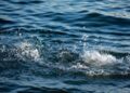 Rajasthan: Four children who went to take bath in Vatrak Anicut died due to drowning, mourning spread in the family.