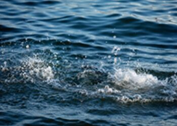 Rajasthan: Four children who went to take bath in Vatrak Anicut died due to drowning, mourning spread in the family.