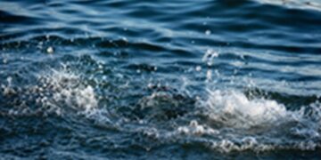 Rajasthan: Four children who went to take bath in Vatrak Anicut died due to drowning, mourning spread in the family.