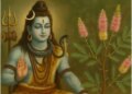 Shami Plant Vastu Tips: Before planting Shami plant in the house, know these important rules, you can get auspicious benefits according to Vastu.
