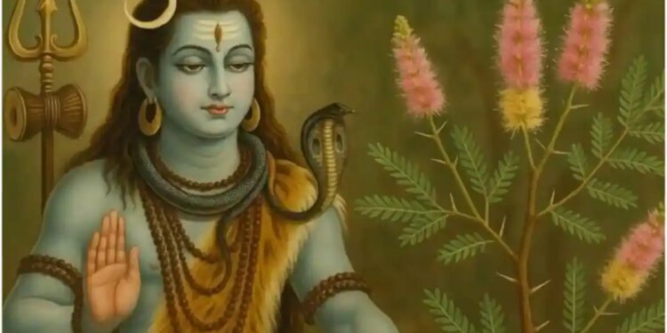 Shami Plant Vastu Tips: Before planting Shami plant in the house, know these important rules, you can get auspicious benefits according to Vastu.