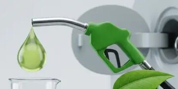 Shift to E20 petrol result of years of testing and deliberation: Petroleum Ministry
