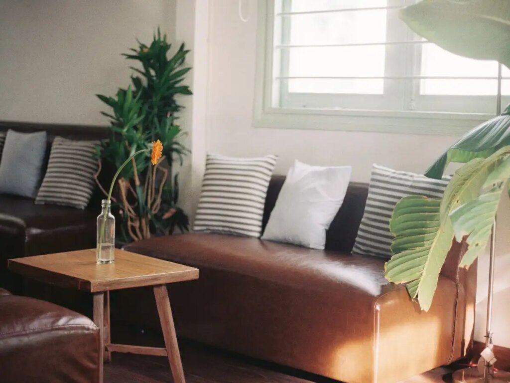 Sofa Direction Vastu Tips: Why is it considered inauspicious to have a window behind the sofa? Know the rules of Vaastu