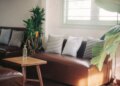 Sofa Direction Vastu Tips: Why is it considered inauspicious to have a window behind the sofa? Know the rules of Vaastu