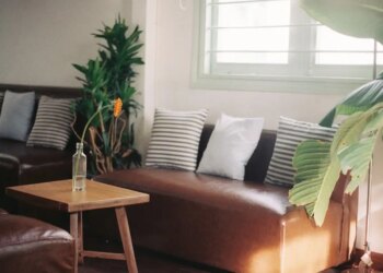 Sofa Direction Vastu Tips: Why is it considered inauspicious to have a window behind the sofa? Know the rules of Vaastu