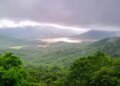 South-west monsoon weakens in South India, rain likely to increase after July 17