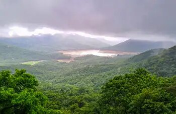 South-west monsoon weakens in South India, rain likely to increase after July 17