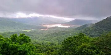 South-west monsoon weakens in South India, rain likely to increase after July 17