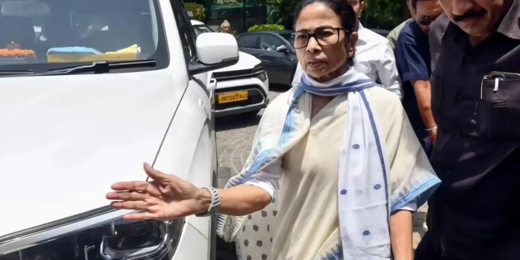 TMC Protest: Why did Mamata Banerjee get angry? VIDEO of slapping one's own worker on stage goes viral