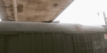 The deranged man climbed on the roof of the goods train, ran, did push-ups, dodged the GRP-RPF soldiers for half an hour, Viral-news Hindi News