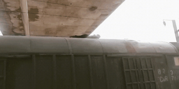 The deranged man climbed on the roof of the goods train, ran, did push-ups, dodged the GRP-RPF soldiers for half an hour, Viral-news Hindi News
