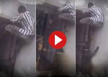 The planning of theft proved costly, the colony people rescued the thief trapped in the building, you will not stop laughing after watching the viral video.