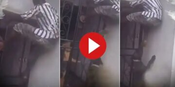 The planning of theft proved costly, the colony people rescued the thief trapped in the building, you will not stop laughing after watching the viral video.