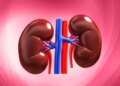 These 4 healthy habits every morning will keep your kidneys healthy, know how to start the day right