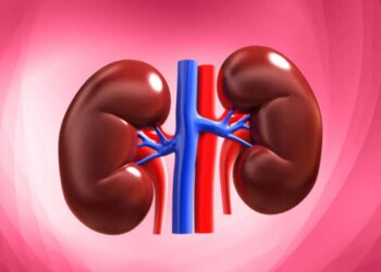 These 4 healthy habits every morning will keep your kidneys healthy, know how to start the day right