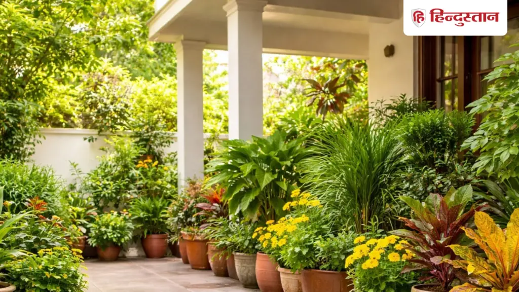 Vastu tips: If there is lack of wealth and prosperity then which plant to plant, know the solution according to Vastu