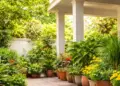 Vastu tips: If there is lack of wealth and prosperity then which plant to plant, know the solution according to Vastu