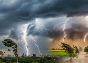Weather Update: Heavy next 24 hours! IMD issued alert for many states including Gujarat, Odisha, Uttar Pradesh