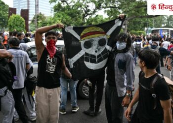 What does the 'One Piece' pirate flag mean? How this became part of Gen-Z's protests, Viral-news Hindi News