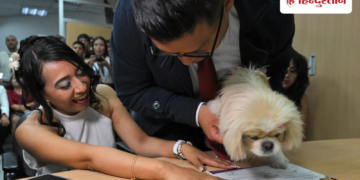 Where has the world reached? Now pets are becoming witnesses in marriages instead of humans; You will be surprised to see the trend, Viral-news Hindi News
