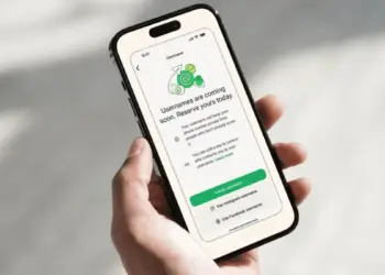 Why is WhatsApp's new Username feature stuck in India? Know the government's concerns and what will be its disadvantages