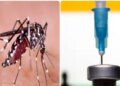 Will get relief from fear of dengue! India's first anti-dengue vaccine Qdenga gets approval, know special things