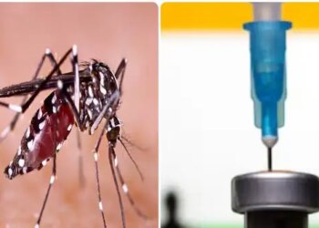 Will get relief from fear of dengue! India's first anti-dengue vaccine Qdenga gets approval, know special things